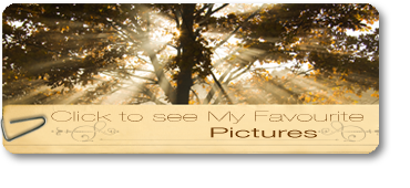 mybestpictures