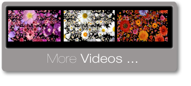 mymovingflowers